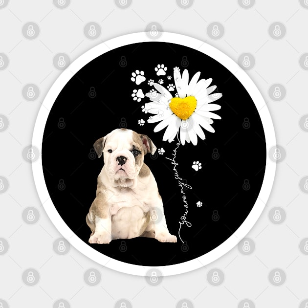 I love bulldog. Magnet by designathome